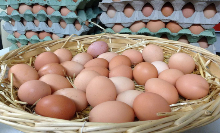 ბოლო 3 წელიწადში კვერცხი 25-30%-ით გაძვირდა - მიზეზები