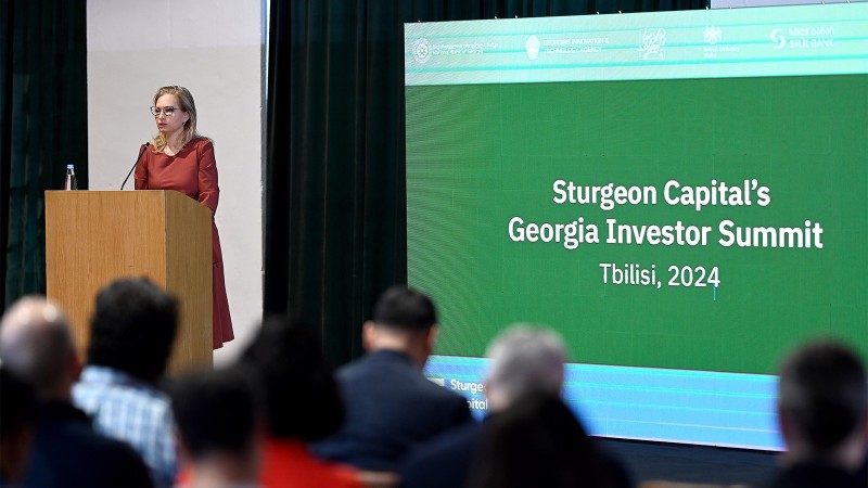 ნათია თურნავამ Sturgeon Capital Georgia-ს საინვესტიციო სამიტში მიიღო მონაწილეობა