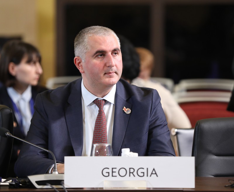 საქართველოში საერთაშორისო სანქციების გვერდის ავლის არცერთი ფაქტი არ მომხდარა - მინისტრი