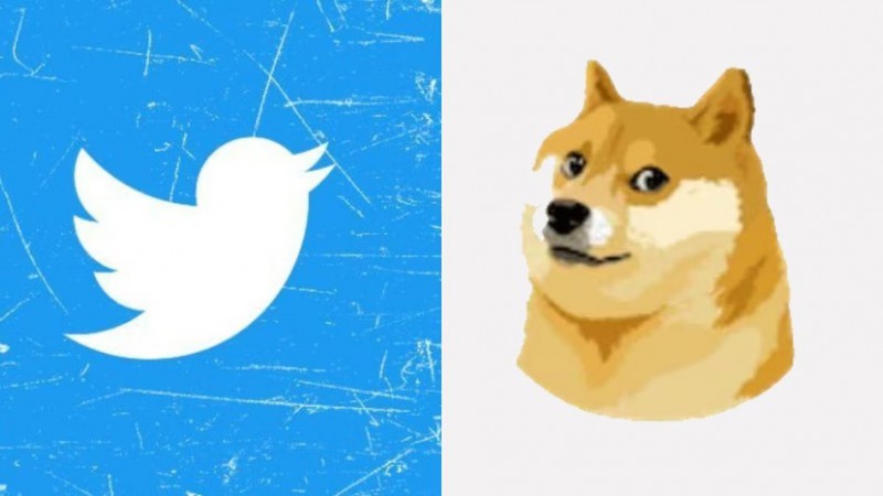 ძაღლი ჩიტის ნაცვლად - Twitter-მა ლოგო შეცვალა