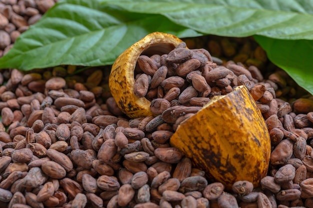 მსოფლიო ფასებმა კაკაოზე რეკორდს მიაღწია, ყავა და შაქარიც ძვირდება