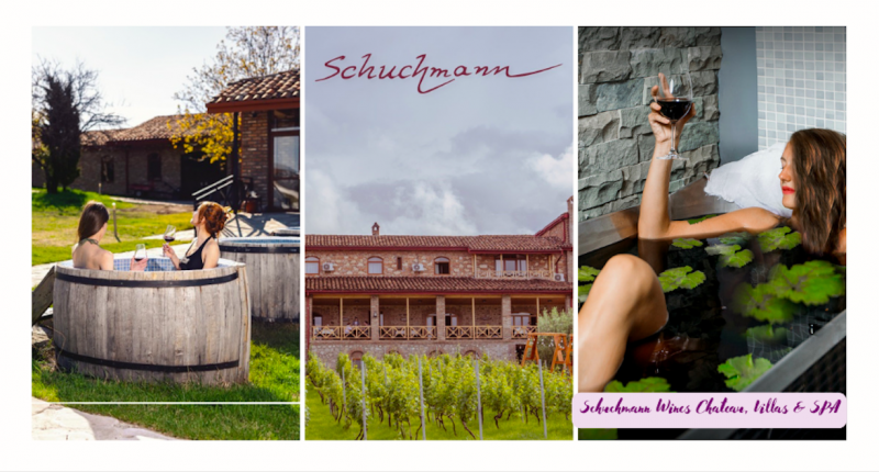 კახეთში შუხმანის შატოს ოფიციალურად მიენიჭა საერთაშორისო კურორტის სტატუსი - Schuchmann Wines Chateau, Villas & SPA