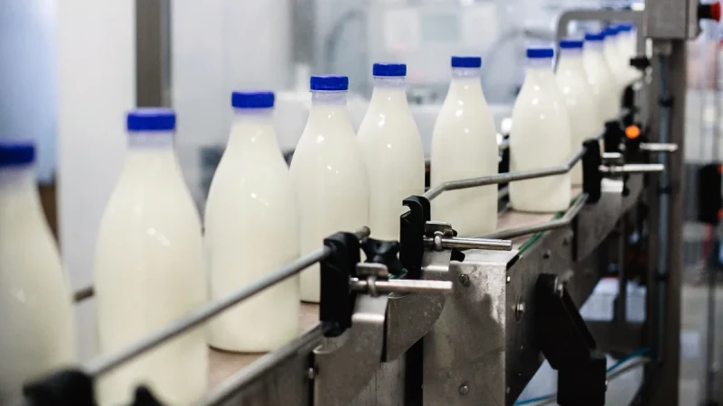 რა ფაქტორები აფერხებს რძის წარმოების განვითარებას - კახა კონიაშვილის შეფასება