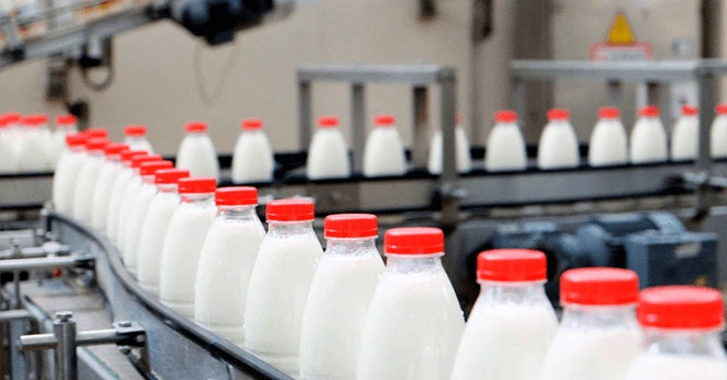 ყველის ფალსიფიკაციის გამო, ნედლ რძეზე მოთხოვნა შემცირდა - ასოციაცია
