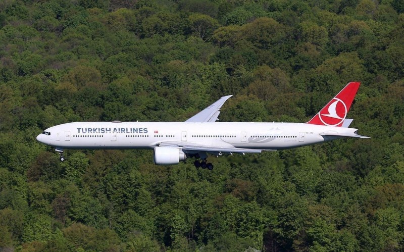 Turkish Airlines-ი სტამბოლსა და თბილისს შორის ფრენების რაოდენობას ზრდის