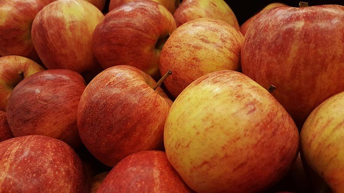 საქართველოს 6 რეგიონში 12,646 ტონა არასტანდარტული ვაშლი გადამუშავდა