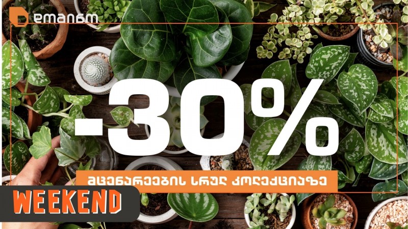 15 ოქტომბრის ჩათვლით დომინოს ბაღის სექცია 30%-იანი ფასდაკლებით გიმასპინძლებთ მცენარეების სრულ არჩევანზე
