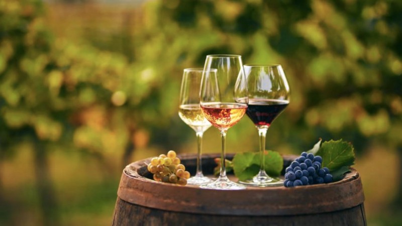 TOP-10 კომპანია, რომელმაც საქართველოდან 2023 წელს ყველაზე მეტი ღვინო გაიტანა