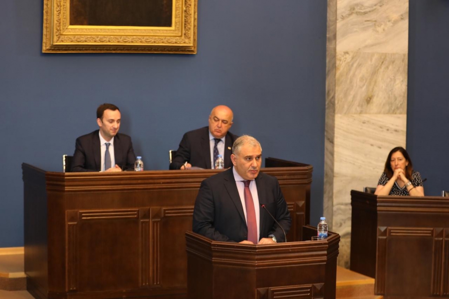 მიხეილ სარჯველაძე, კომიტეტების გაერთიანებულ სხდომაზე, ანგარიშით წარსდგა