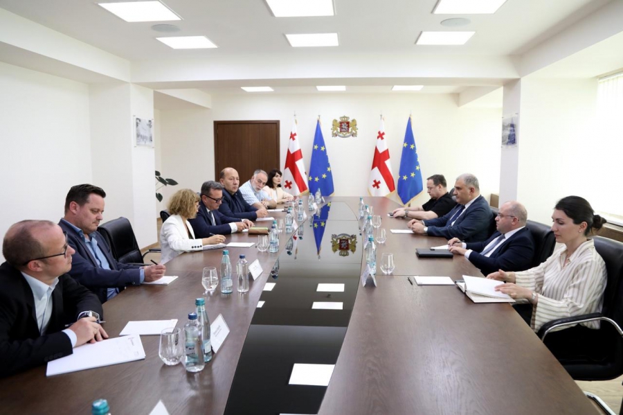 მიხეილ სარჯველაძე ევროპის პროფესიული კავშირების კონფედერაციის (ETUC) წარმომადგენლებს შეხვდა