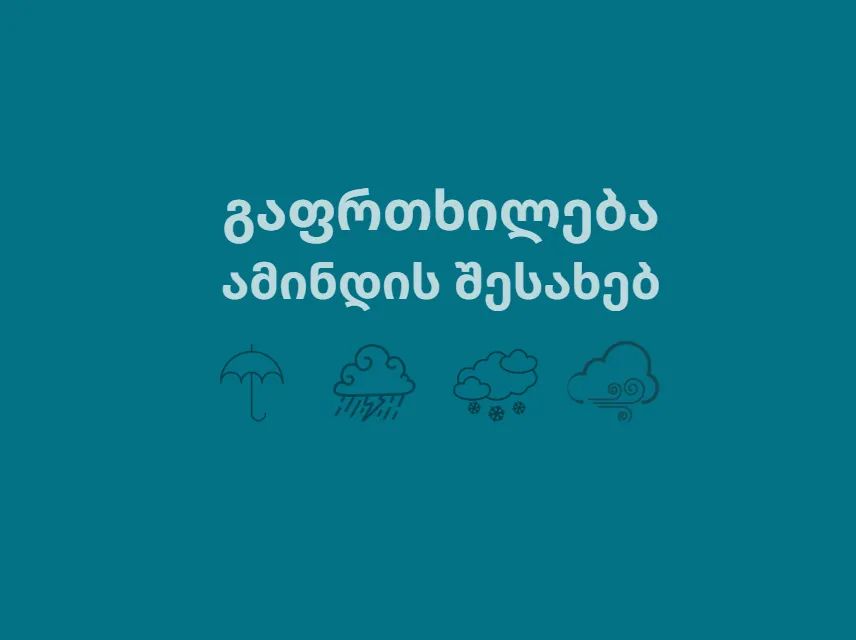 გარემოს ეროვნული სააგენტო მოსახლეობას კოლხეთის დაბლობსა და ზემო იმერეთში მოსალოდნელი ძლიერი ქარის შესახებ აფრთხილებს