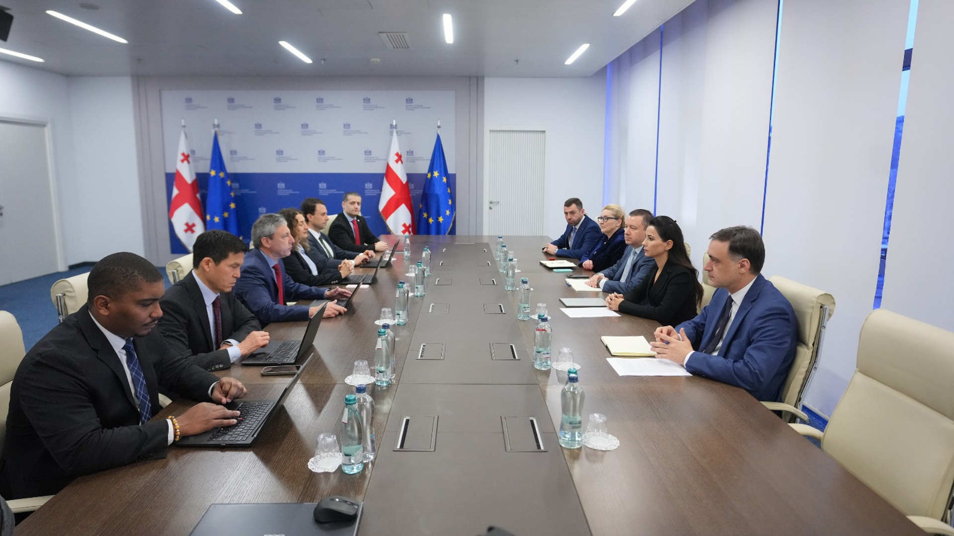 მარიამ ქვრივიშვილი საერთაშორისო სავალუტო ფონდის მისიას შეხვდა