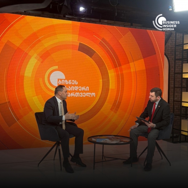 ზვიად გაბისონია, განათლების რეფორმა