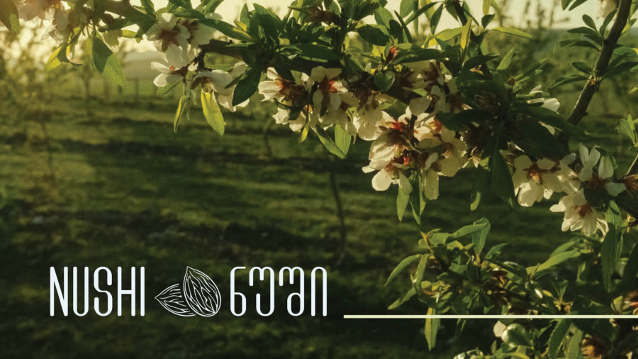 პირველი ბიო ნუშის მწარმოებელი კომპანია „ნუში“ ზრდის სტრატეგიასა და სამომავლო გეგმებზე