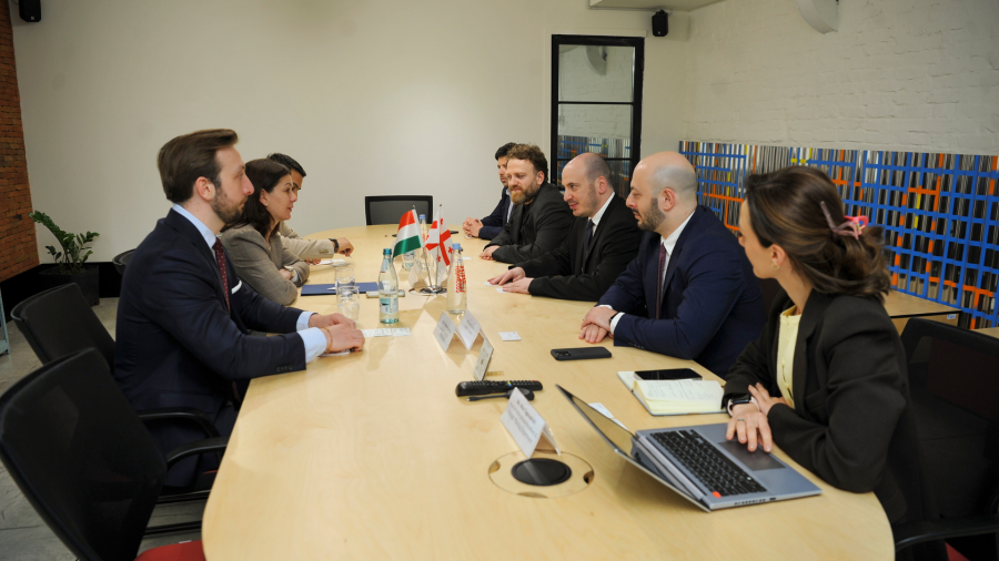 ავთანდილ კასრაძემ უნგრეთის ელჩთან სამომავლო თანამშრომლობის მიმართულებები განიხილა