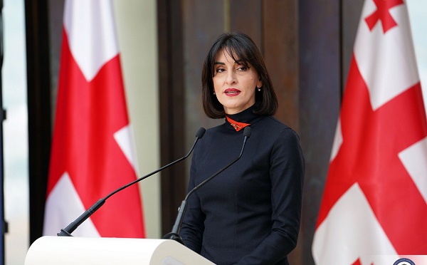 საქართველოს ხელისუფლება ყველაფერს აკეთებს იმისათვის, რომ ჩვენი ქვეყანა იყოს ისეთი განვითარებული და კონკურენტუნარიანი, რომელიც შეძლებს მაღალგანვითარებულ სახელმწიფოებთან ევროპულ სტრუქტურებში თანაარსებობას - მაკა ბოჭორიშვილი