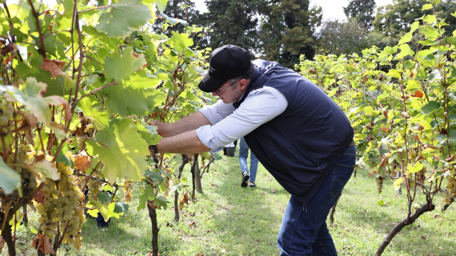 გასულ წელს თითქმის ყველა მუნიციპალიტეტში ვიყავი ჩასული და ეს ვიზიტები არ ყოფილა ფორმალური ხასიათის, სამინისტროს სრული შემადგენლობა ადგილზე ეცნობოდა რეალურ ვითარებას - დავით სონღულაშვილი