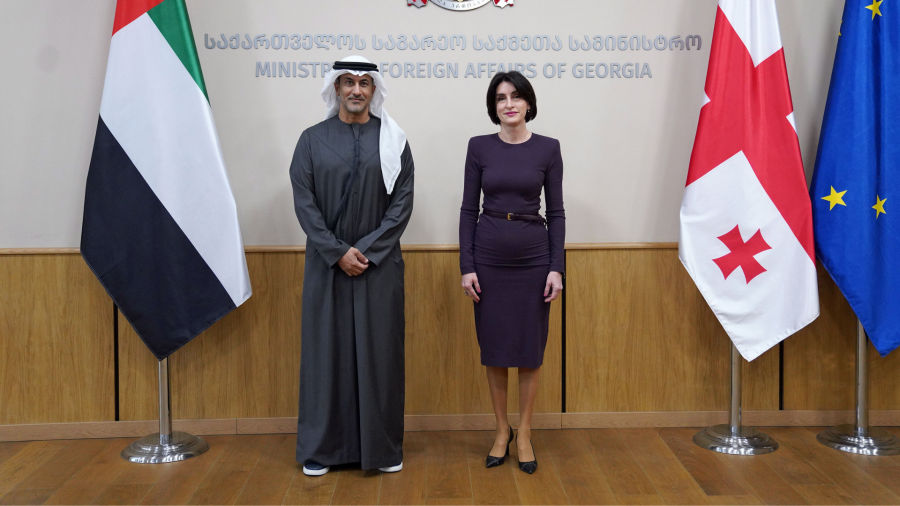 Georgia's Foreign Minister meets with UAE Minister of State for Foreign Affairs