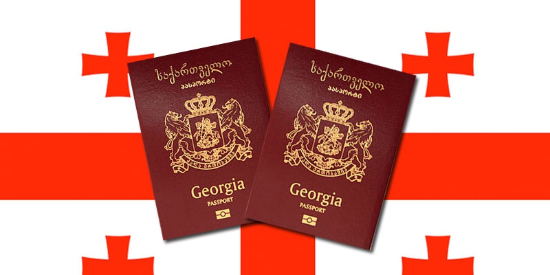 In 2025, Georgian citizenship granted to 2,333 people, 1,426 revoked citizenship - GeoStat
