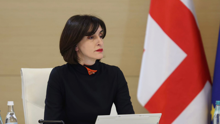 FM Botchorishvili says Georgia expects U.S. State Department officials in May