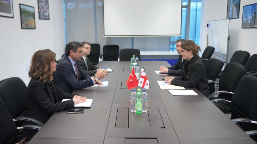 თამარ იოსელიანმა თურქეთის ელჩთან, მუსტაფა თურქერ არისთან გაცნობითი ხასიათის შეხვედრა გამართა