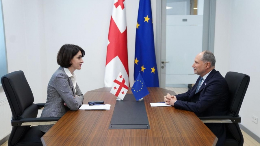 Georgian FM summons EU Ambassador, says Brussels policy “undermines partnership”