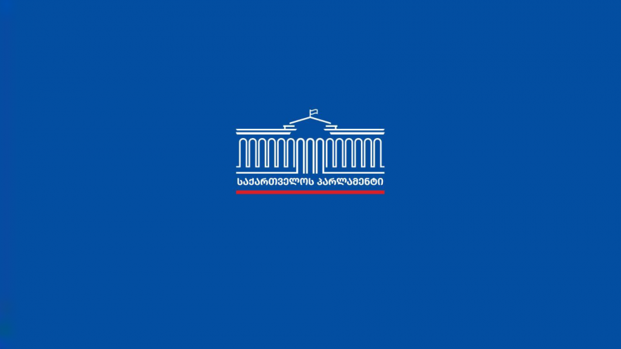 სებ-მა 2025 წლის წლიური ანგარიში წარმოადგინა, რომელიც განსახილველად საფინანსო-საბიუჯეტო კომიტეტს გადაეცა - დეტალები