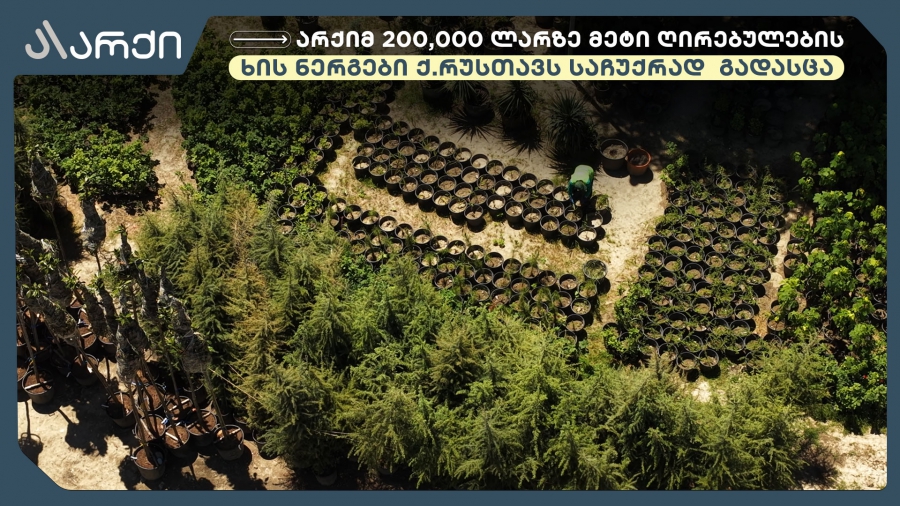 „არქიმ“ 200,000 ლარზე მეტი ღირებულების მარადმწვანე ხის ნერგები ქალაქ რუსთავს საჩუქრად გადასცა