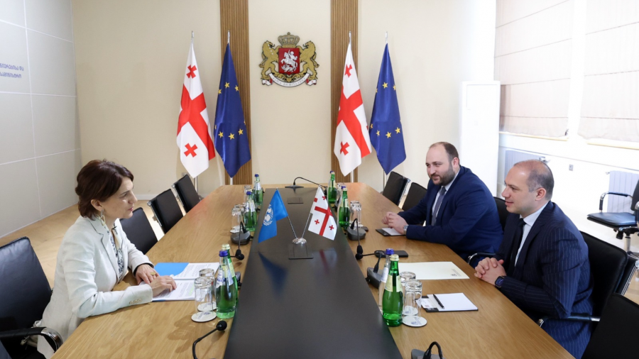 Education Minister meets with UNICEF Representative to Georgia