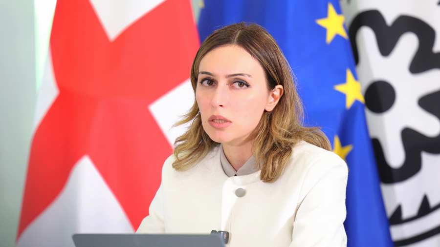 სებ-ის მაკროეკონომიკისა და სტატისტიკის დეპარტამენტის უფროსმა თამთა სოფრომაძემ ანალიტიკოსებთან შეხვედრა გამართა