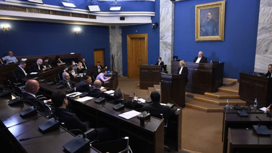 დეპოზიტების შემცირებული დოლარიზაცია ლარის მიმართ გაზრდილ ნდობას ასახავს - ნათია თურნავა