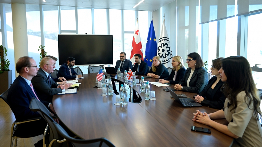 ნათია თურნავა აშშ-ის სახელმწიფო დეპარტამენტის დელეგაციას შეხვდა