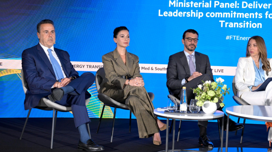 Georgia aims to sustain one of fastest-growing economies - Economy Minister