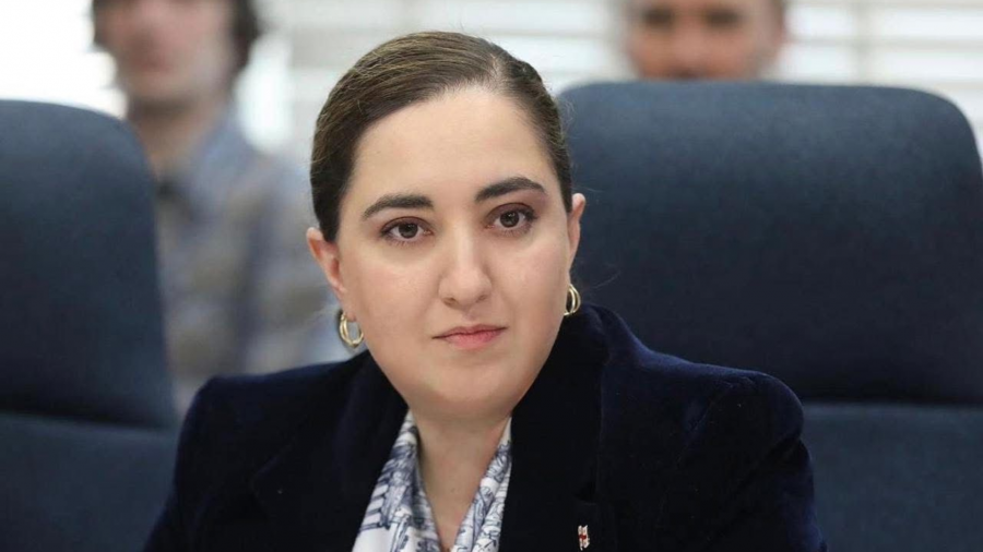 სინდიკაციის მეთოდით სახაზინო ფასიანი ქაღალდების განთავსება, მიზნად ისახავს ადგილობრივი ფასიანი ქაღალდების ბაზრის განვითარებას ახალი ინსტრუმენტების გამოყენებით - ფინანსთა მინისტრის მოადგილე ეკატერინე გუნცაძე