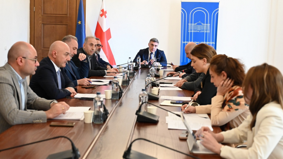 ეკონომიკური პოლიტიკის კომიტეტმა მთავრობის საკანონმდებლო ინიციატივები განიხილა