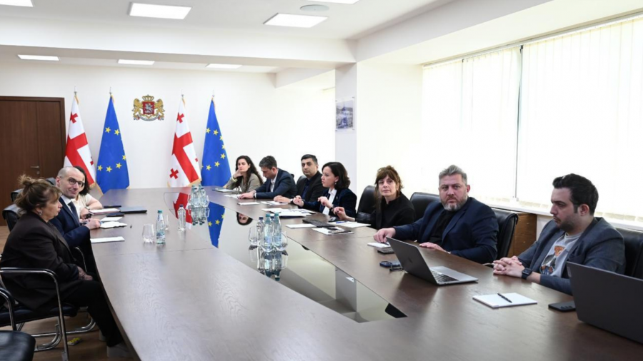 ჯანდაცვის მინისტრის მოადგილე ირინე წაქაძე მსოფლიო ბანკის წარმომადგენელს - რობერტო კლაუდიო სორმანის შეხვდა