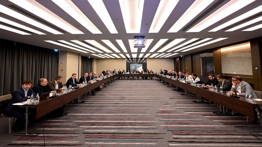 ნათია თურნავამ კომერციულ ბანკებთან გამართულ სამუშაო შეხვედრაში მიიღო მონაწილეობა