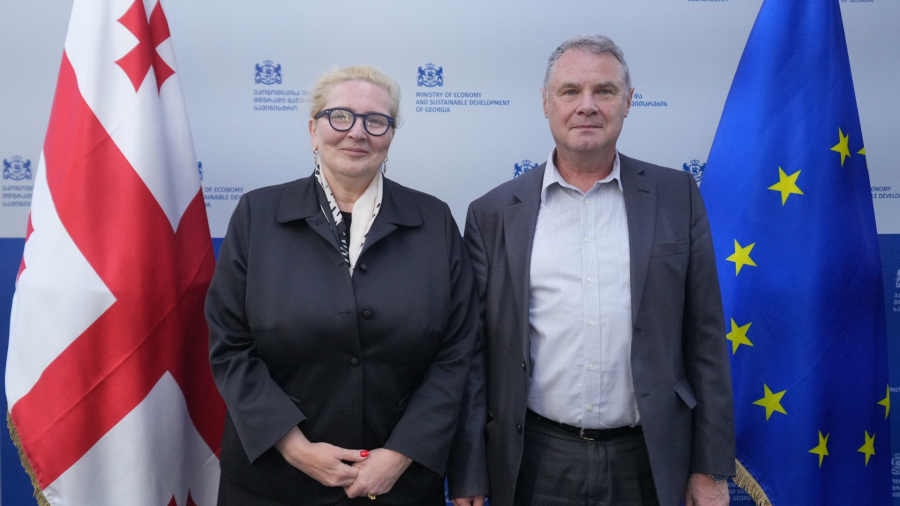ეკონომიკის მინისტრის მოადგილე გაეროს ევროპის ეკონომიკური კომისიის რეგიონულ მრჩეველს შეხვდა