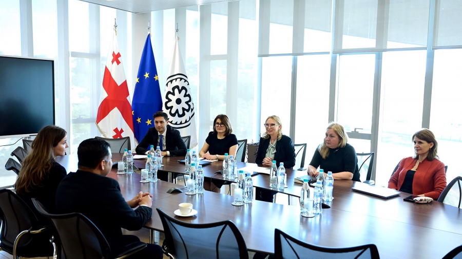 ნათია თურნავა ინდოეთის ახლად დანიშნულ ელჩს შეხვდა