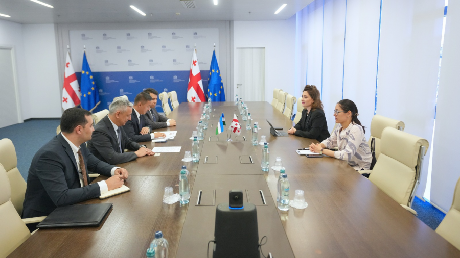 თამარ იოსელიანი უზბეკეთის რესპუბლიკის ტრანსპორტის მინისტრის პირველ მოადგილეს მამანბი ომაროვს შეხვდა