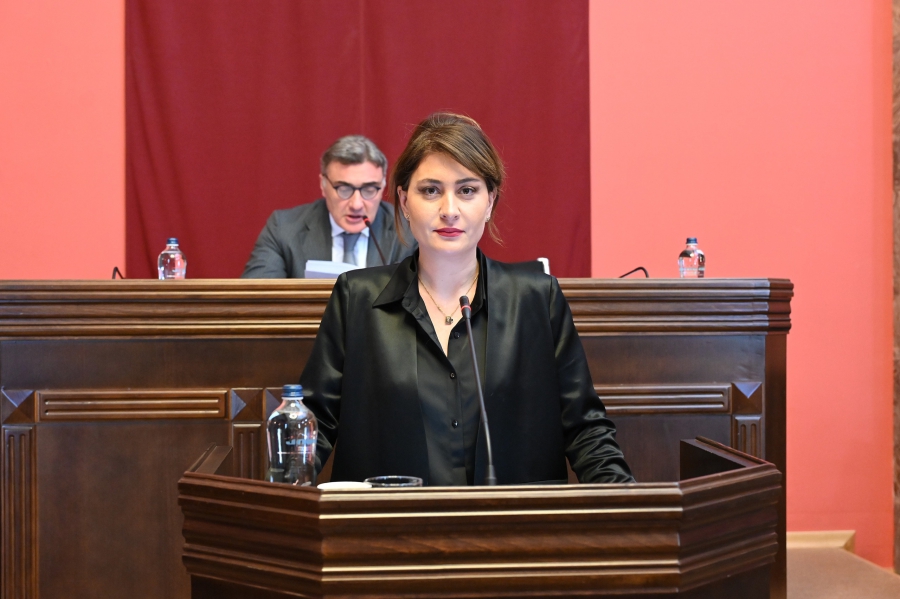 სარკინიგზო ინფრასტრუქტურის, როგორც სტრატეგიული აქტივის, გასხვისება იზღუდება - თამარ იოსელიანი სარკინიგზო კოდექსში შესატან ცვლილებებზე