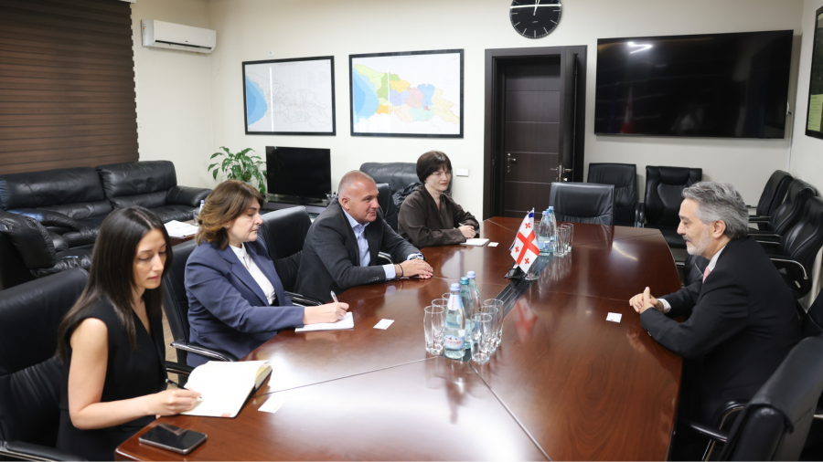ინფრასტრუქტურის მინისტრი საქართველოში ისრაელის სახელმწიფოს საგანგებო და სრულუფლებიან ელჩს შეხვდა