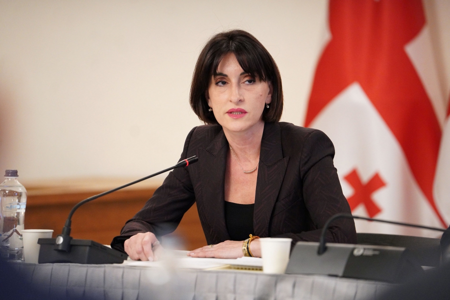 მაკა ბოჭორიშვილი სან-ფრანცისკოს მერთან შეხვედრისა და საქართველოსა და აშშ-ის ურთიერთობების შესახებ