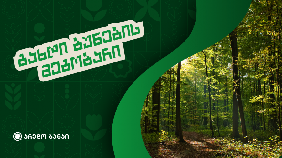 კრედო ბანკმა „მწვანე ანაბრის“ პროექტის ფარგლებში მარნეულში გარემოსდაცვითი და გამწვანების ღონისძიებები განახორციელა