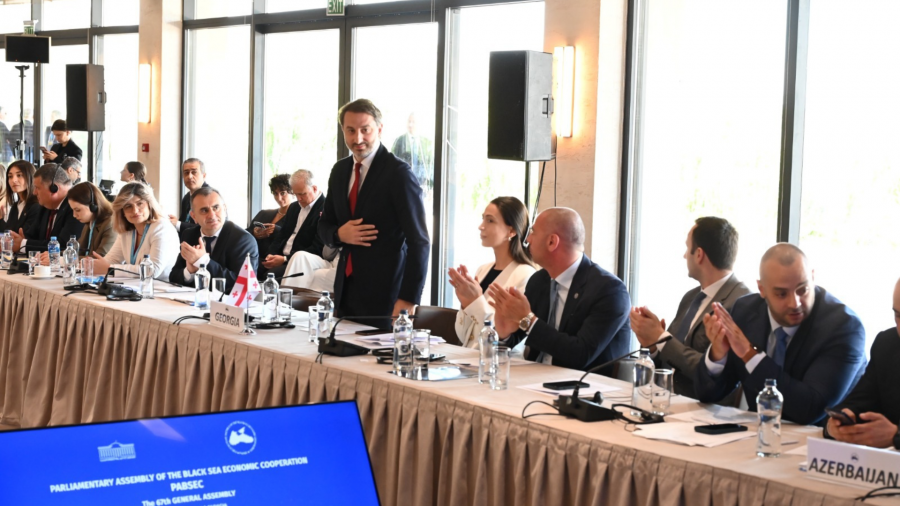 ირაკლი მეზურნიშვილი შავი ზღვის ეკონომიკური თანამშრომლობის საპარლამენტო ასამბლეის ვიცე-პრეზიდენტად აირჩიეს