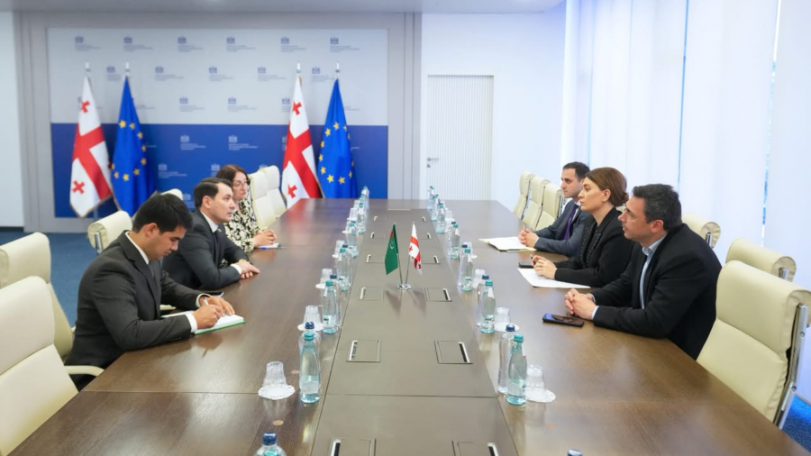 თამარ იოსელიანი თურქმენეთის ელჩს შეხვდა
