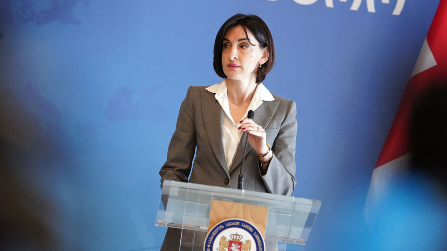 We collaborate with United States to shape future of Georgia-U.S. relations - Georgia's FM