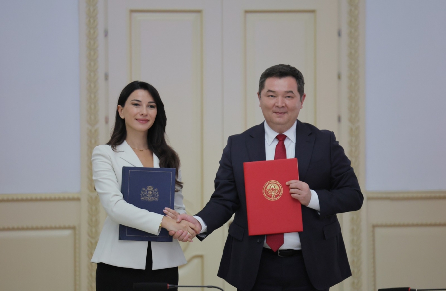 ეკონომიკისა და მდგრადი განვითარების მინისტრის მარიამ ქვრივიშვილის თანათავმჯდომარეობით საქართველო - ყირგიზეთის ეკონომიკური თანამშრომლობის მთავრობათაშორისი კომისიის მეორე სხდომა გაიმართა