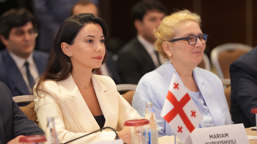 მტკიცედ გვწამს, რომ „მწვანე ენერგიის დერეფანი“ მყარ საფუძველს ქმნის უფრო ღრმა რეგიონული თანამშრომლობისთვის, ურთიერთ დაკავშირებადობისა და ჩვენი ენერგოსისტემების მეტი მედეგობისთვის - მარიამ ქვრივიშვილი