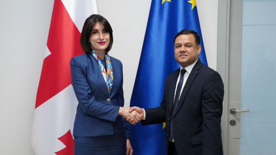 მაკა ბოჭორიშვილი საქართველოში ინდოეთის რესპუბლიკის ელჩს შეხვდა